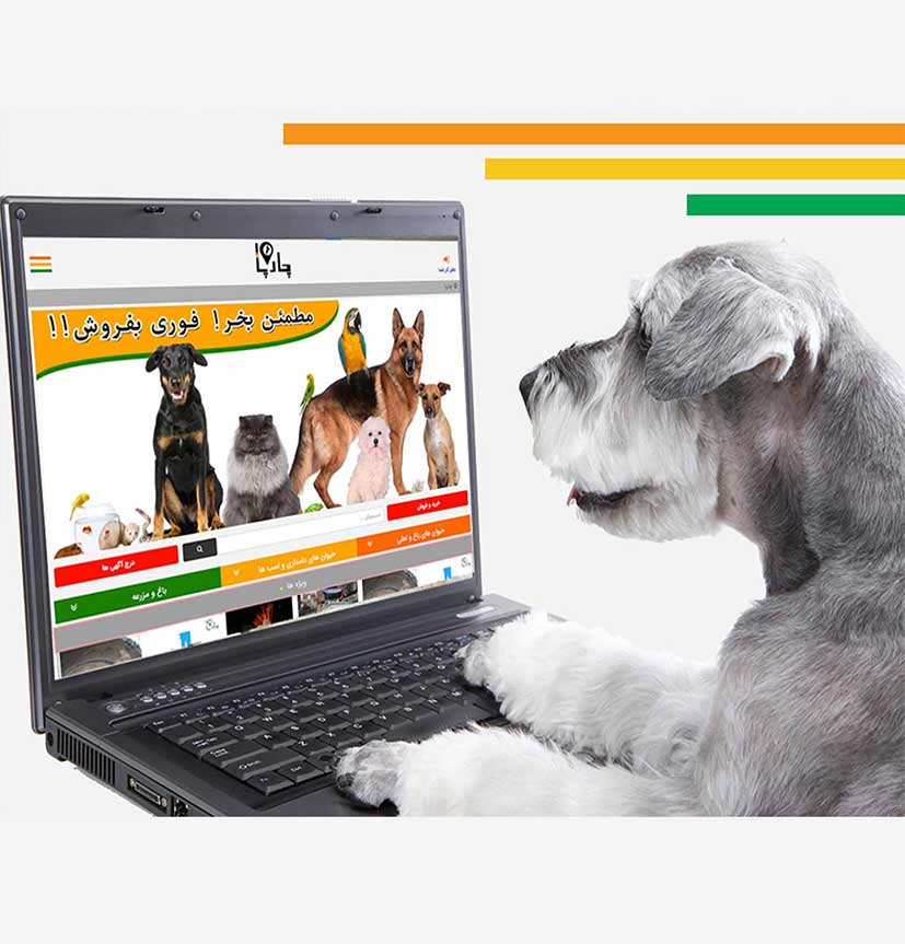 مقررات خرید و فروش آنلاین حیوانات 