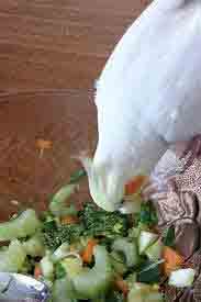 سبزیجات برای عروس هلندی