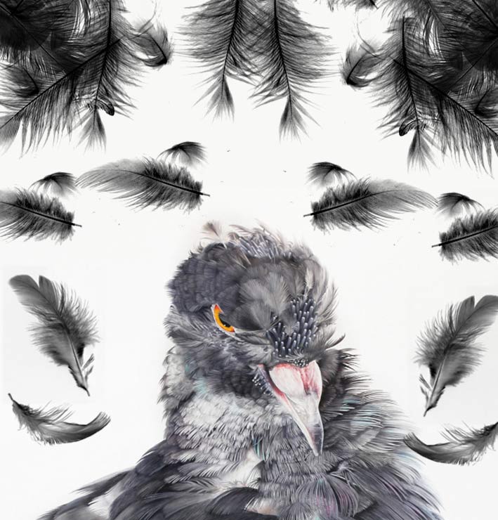 ریزش پر پرندگان علت پیشگیری شرح درمان و تقویت پر ریزی پرنده اطلاعات بروز