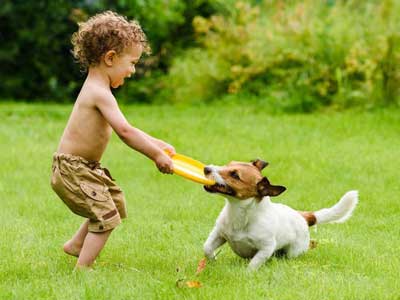 حیوانات خانگی برای کودکان سگ