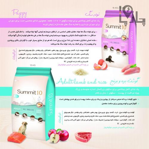 غذای خشک سگ