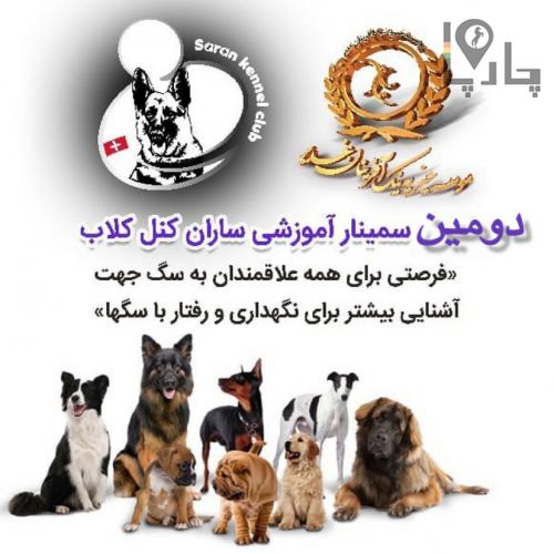 متخصصین آموزش سگ