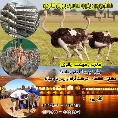 دوره یکروزه سراسری پرورش شترمرغ