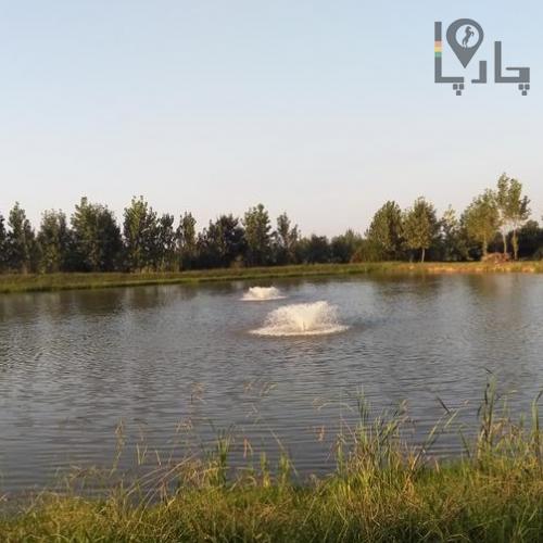 استخر پرورش ماهی