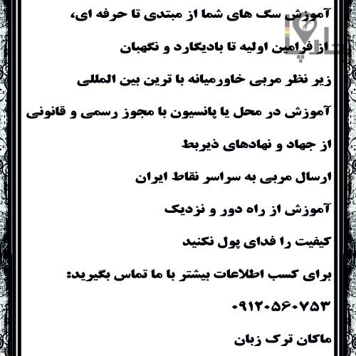 مربی سگ