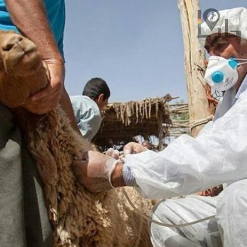 دوره آموزشی پرورش