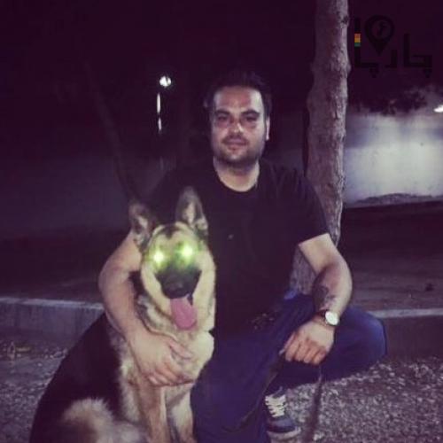 تربيت سگ-مربي سگ