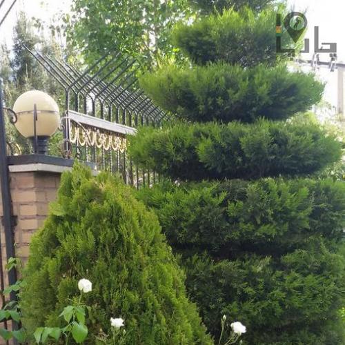 گل و گیاه شاندیز