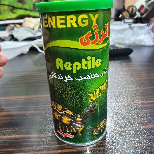 غذای لاکپشت قوطی