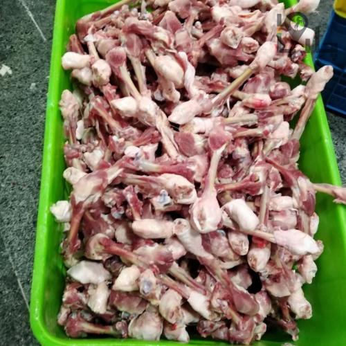 غذای سگ