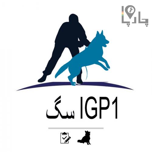 دوره تئوری کلاس IGP1 سگ و تست IGP1  سگ