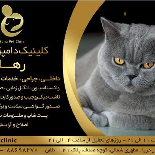کیلینیک تخصصی حیوانات رها