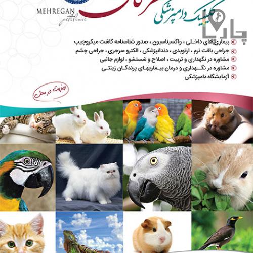 کلینیک دامپزشکی مهرگان
