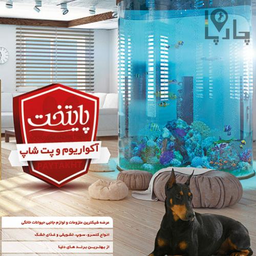 پت شاپ آکواریوم پایتخت