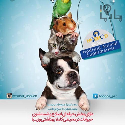 پت شاپ هدهد