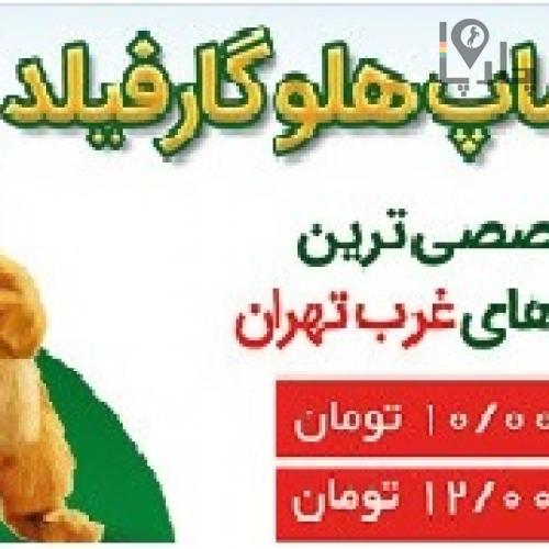 پت شاپ گارفیلد