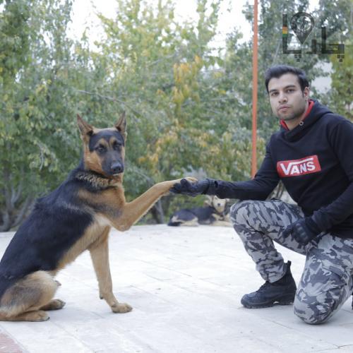مربی سگ در اصفهان