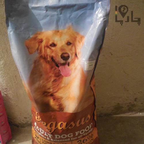 غذای خشک سگ انواع نژادها