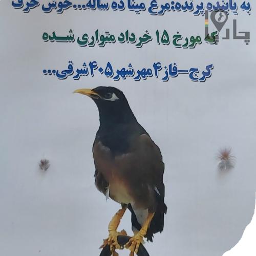 مݫدگانی مطلوب