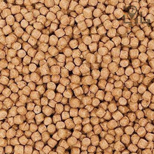 غذای انواع ماهی