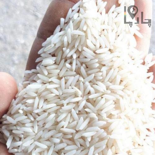 برنج طارم  برنج هاشمیایرانی