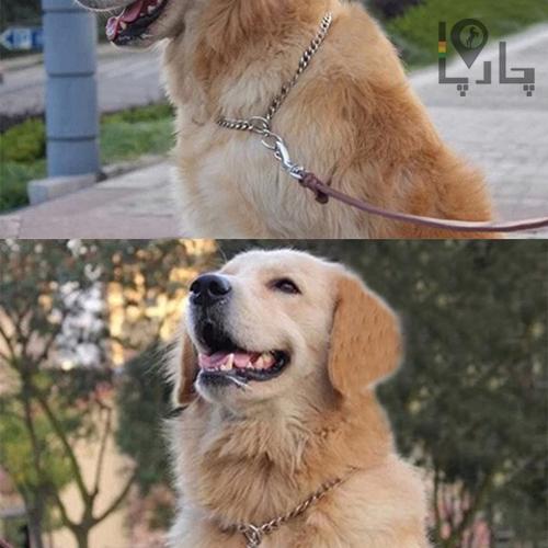 قلاده آموزشی سگ چوک چین Choke Chain Karlie سایز XL طول 70