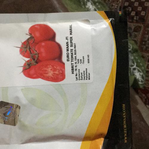 بذر گوجه فرنگی فراوری شده ی