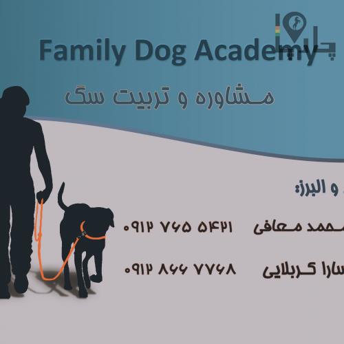آموزش سگ ، مربی سگ ، تربیت سگ