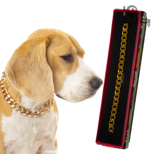 گردنبند طلایی سگ و انواع پت اسمارت Smart طرح کارتیر قلابدار طلائی سایز M