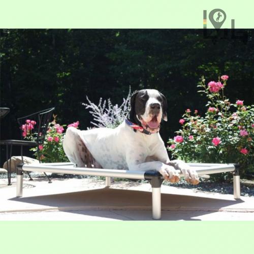 تخت سگ حرفه ای آلمینیومی کی ناین پرو K9 Pro لاکی داگ چهارفصل سایز XL