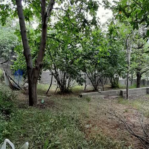 باغ ویلایی