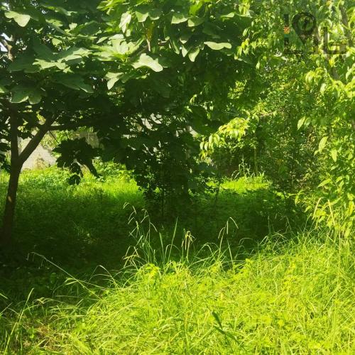 زمین 1100 متری در جاده ماسوله