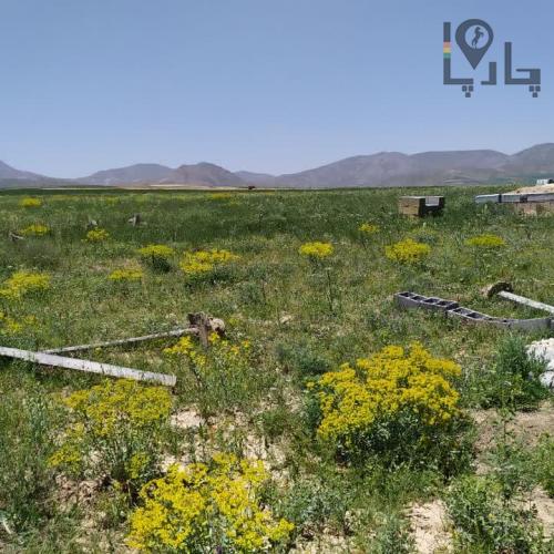 زمین کشاورزی در سیمین همدان