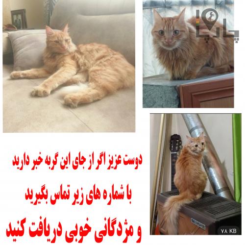 به یابنده مژدگانی خوبی میدهیم