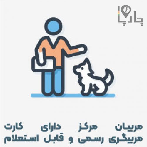 آموزشگاه سگ یارا