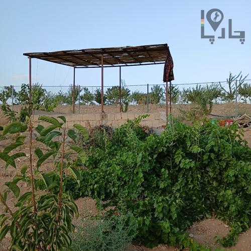 فروش باغ ۸۰۰ متری