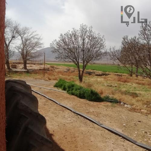 زمین کشاورزی باغی