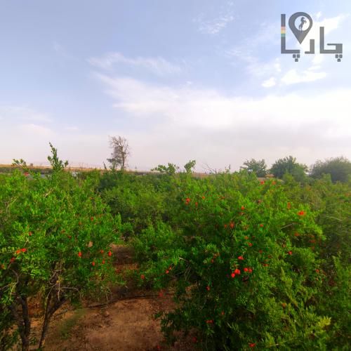 فروش باغ ویلایی