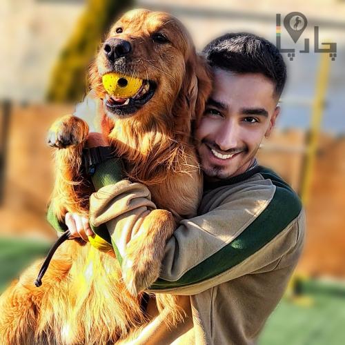 مربی سگ محمدنباتی
