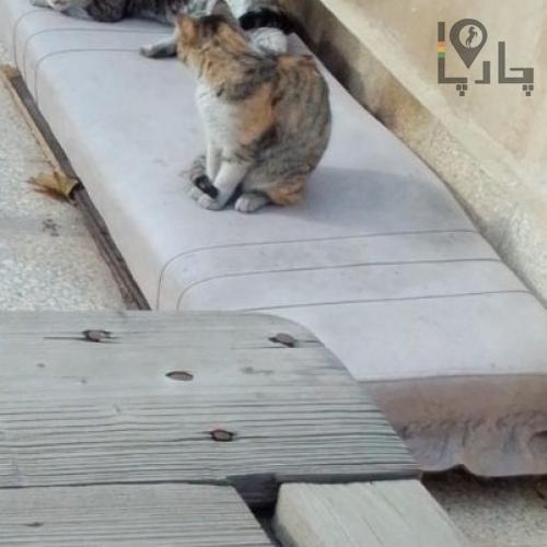 گمشده‌