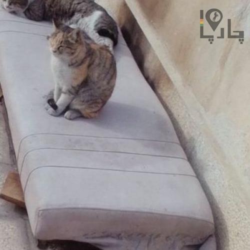 گمشده‌