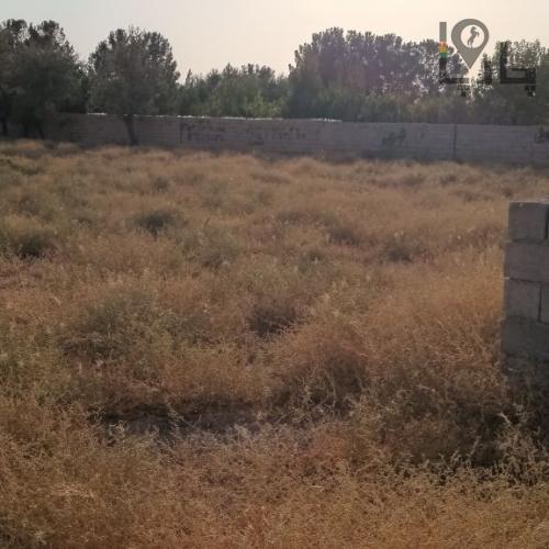 زمین 250متری