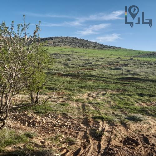 فروش زمین باغی زراعی