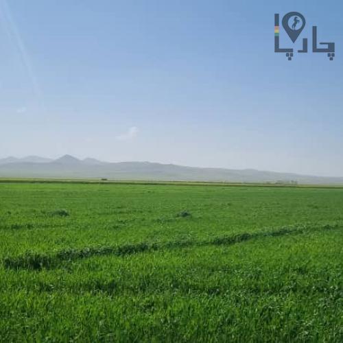 زمین کشاورزی اماده کشت