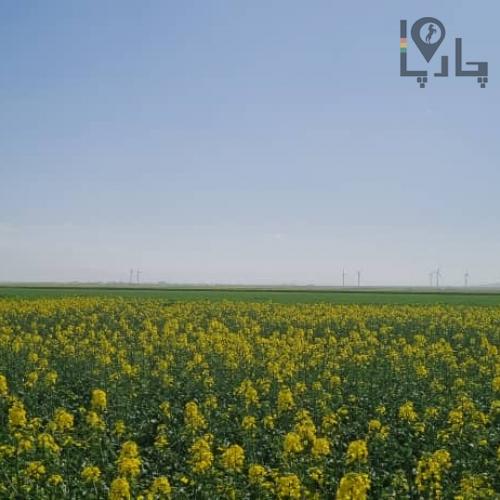 زمین کشاورزی اماده کشت