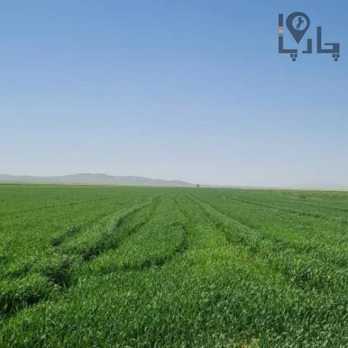 زمین کشاورزی اماده کشت