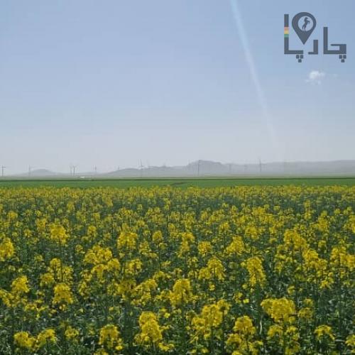 زمین کشاورزی اماده کشت