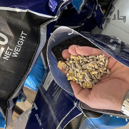 کنسانتره سفارشی مخصوص اسب