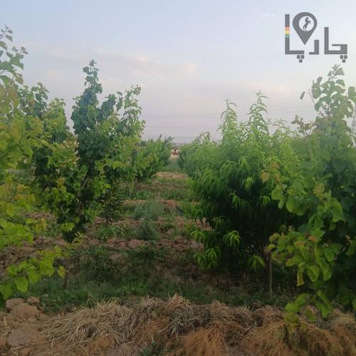 باغچه سهیلیه زعفرانیه معاوضه ب