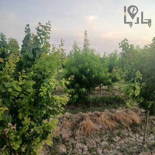 باغچه سهیلیه زعفرانیه معاوضه ب